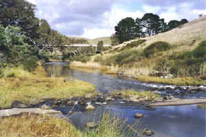 Photograph God-gee-015, Russell Hudson, 2002